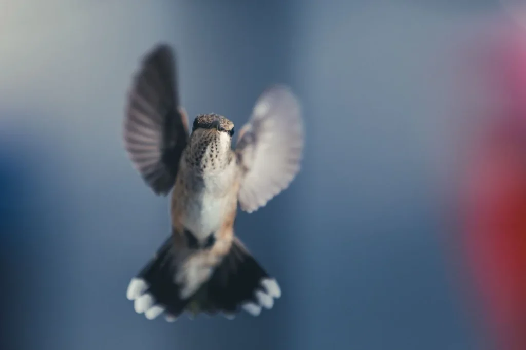 Common Mistakes People Make